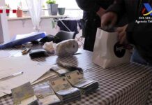 56 detenidos en Catalunya de una importante red de producción de marihuana 56 detenidos en Catalunya de una importante red de producción de marihuana