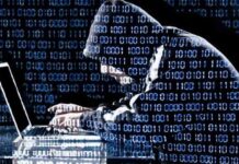 Un ciberdelincuente robó datos de más de 40 millones de matrículas Delincuentes informáticos roban ocho millones de euros a entidades públicas catalanas