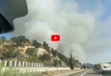 Cortan la AP-7 en la Jonquera por el incendio de un vehículo que ha afectado a la vegetación Cortan la AP-7 en la Jonquera por el incendio de un vehículo que ha pasado a la vegetación