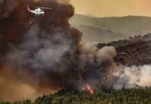 España, el país de Europa con más hectáreas quemadas por incendios forestales España, el país de Europa con más hectáreas quemadas por incendios forestales