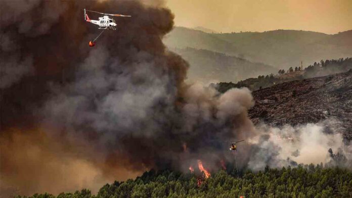 España, el país de Europa con más hectáreas quemadas por incendios forestales