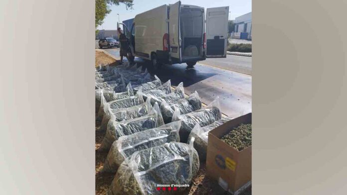Un Mosso detecta por el olor, una furgoneta que transportaba 260 kilos de marihuana