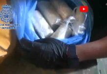 26 detenidos y 20 kilos de cocaína incautada en Madrid 26 detenidos y 20 kilos de cocaína incautada en Madrid