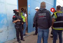 Desmantelan un grupo relacionado con la ‘Mocro Maffia’ holandesa en Catalunya Desmantelan un grupo relacionado con la 'Mocro Maffia' holandesa en Catalunya