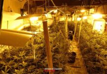 21 detenidos en una operación antidroga en Barcelona y Tarragona Detenido un hombre en Santa Susanna (Barcelona) con pornografía infantil