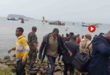 Se estrella un avión de pasajeros en Tanzania con 43 personas a bordo Se estrella un avión de pasajeros en Tanzania con 43 personas a bordo