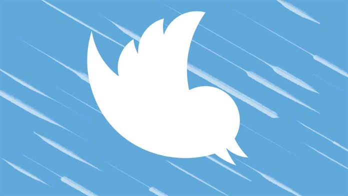 Interrupción mundial de Twitter bloqueando el acceso a miles de usuarios