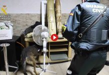 Liberadas seis mujeres víctimas de explotación sexual en Zaragoza Liberadas seis mujeres víctimas de explotación sexual en Zaragoza