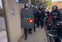 Desarticulan una organización en Madrid que trasladaba cocaína en maceteros Desarticulan una organización en Madrid que trasladaba cocaína en maceteros