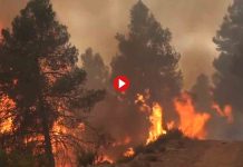 El incendio de Castellón y Teruel ya ha quemado 4.000 hectáreas El incendio de Castellón y Teruel ya ha quemado 4.000 hectáreas