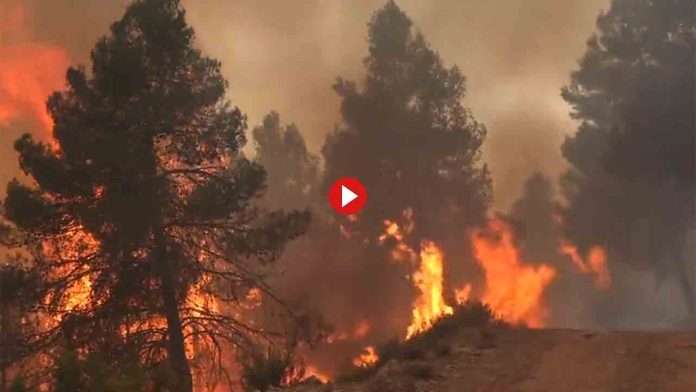 El incendio de Castellón y Teruel ya ha quemado 4.000 hectáreas