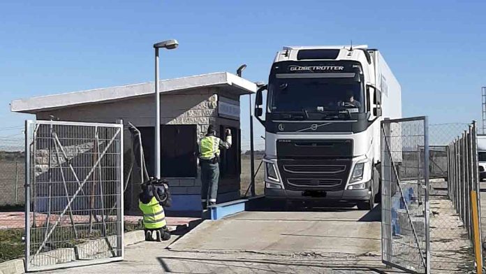 Inmovilizan 72 camiones por no cumplir con las condiciones para circular con seguridad
