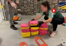 50 detenidos de una organización que enviaba cargamentos de cocaína y hachís a Europa 50 detenidos de una organización que enviaba cargamentos de cocaína y hachís a Europa