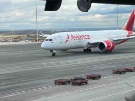 Un avión que iba a Bogotá regresa a Madrid para salvar a los perros de la bodega Un avión que iba a Bogotá regresa a Madrid para salvar a los perros de la bodega