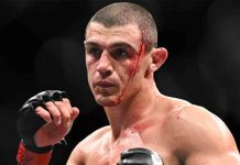 El taxista agredido en Formentera por el luchador de UFC, Alessio Di Chirico, va en las listas de GxF El taxista agredido en Formentera por el luchador de UFC Alessio Di Chirico va en las listas de GxF