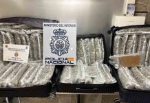 Detenidos al intentar transportar a Francia 37 kilos de marihuana y uno de coca en un autobús Detenidos al intentar transportar a Francia 37 kilos de marihuana y uno de coca en un autobús