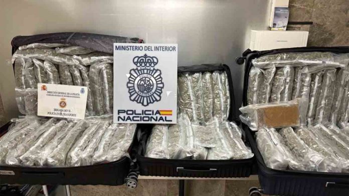 Detenidos al intentar transportar a Francia 37 kilos de marihuana y uno de coca en un autobús