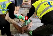 Intervienen 2 toneladas de cocaína entre Colombia y el Puerto de Vigo Intervienen 2 toneladas de cocaína entre Colombia y el Puerto de Vigo