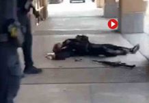 Nueve muertos y siete heridos en un tiroteo en un centro comercial de Texas Ocho muertos y siete heridos en un tiroteo en un centro comercial de Texas