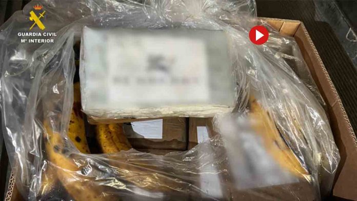 Intentó introducir 6,5 toneladas de cocaína en contenedores de bananas por el puerto de Algeciras