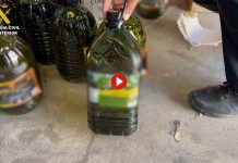Vendían en Sevilla aceite de semilla y orujo como virgen extra Vendían en Sevilla aceite de semilla y orujo como virgen extra