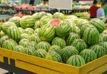 Alerta por unas sandías provenientes de Marruecos con un peligroso pesticida Alerta por unas sandías provenientes de Marruecos con un peligroso pesticida