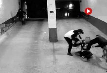 Cae una banda de Madrid que robaba relojes de lujo en Barcelona Cae una banda de Madrid que robaba relojes de lujo en Barcelona