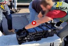 Desarticulan una red dedicada al tráfico de drogas en embarcaciones de lujo Desarticulan una red dedicada al tráfico de drogas en embarcaciones de lujo