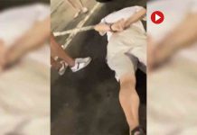 Detenido en Sevilla un prófugo francés acusado de violación y pornografía infantil Detenido en Sevilla prófugo francés acusado de violación y pornografía infantil