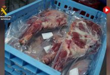 Intervenidas en Zaragoza 28 toneladas de alimentos no aptos para el consumo humano Intervenidas en Zaragoza 28 toneladas de alimentos no aptos para el consumo humano