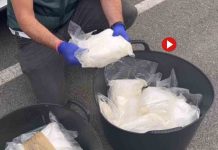 Pillan en Navarra un vehículo con 40 kilos de speed en días previos a los Sanfermines Pillan en Navarra un vehículo con 40 kilos de speed en días previos a los Sanfermines