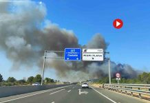 Cortada la A7 por un incendio en Miami Playa, Tarragona Cortada la A7 por un incendio en Miami Playa, Tarragona