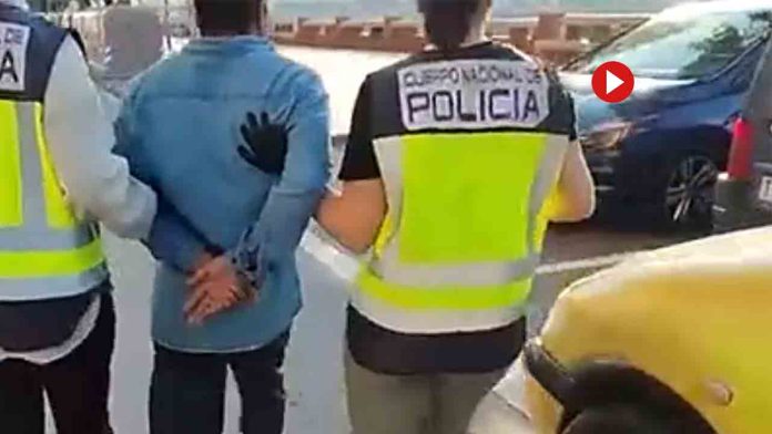 Facilitaban documentación falsa a migrantes para trabajar en el campo en Tortosa