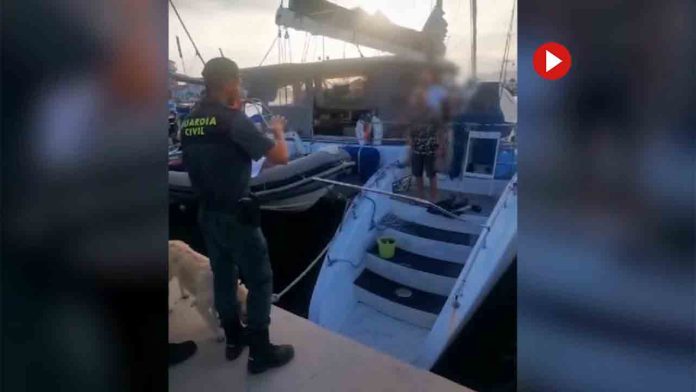 Identifican a los tripulantes de una embarcación que efectuó disparos a una Orca