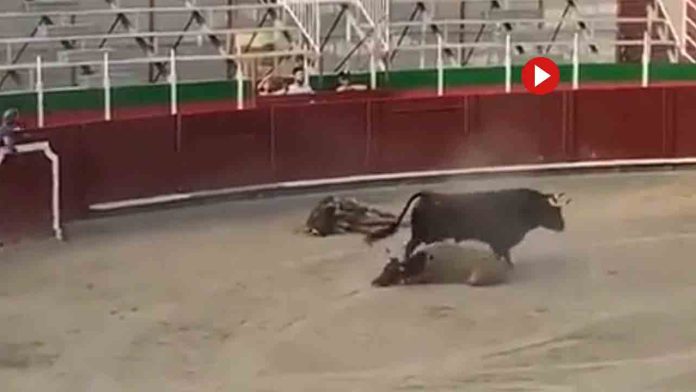 La Fiscalía investiga como maltrato animal un espectáculo taurino en Barbastro
