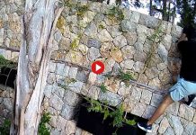 Desarticulada una banda de “lanzas chilenos” que actuaban en Mallorca Desarticulada una banda de “lanzas chilenos” que actuaban en Mallorca