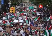 Brooklyn sale a las calles para exigir el fin de la masacre en Palestina Brooklyn sale a las calles para exigir el fin de la masacre en Palestina