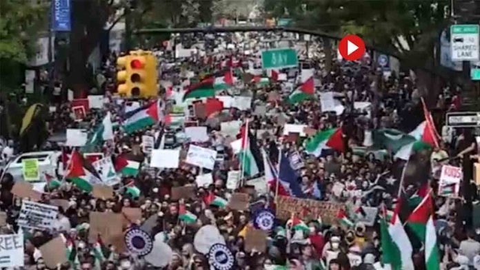 Brooklyn sale a las calles para exigir el fin de la masacre en Palestina