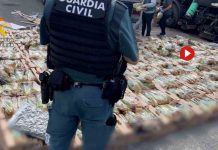 Cinco detenidos en Navarra por transportar marihuana entre lechugas Cinco detenidos en Navarra por transportar marihuana entre lechugas