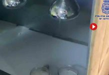 Desmantelan una organización que enviaba cocaína de Barcelona a Baleares Desmantelan una organización que enviaba cocaína de Barcelona a Baleares