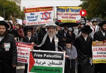 Miles de manifestantes en Washington exigen un alto el fuego en Gaza Miles de manifestantes en Washington exigen un alto el fuego en Gaza