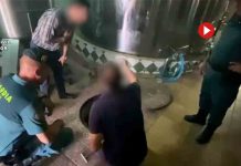 Roban 56 toneladas de aceite de oliva virgen extra en una almazara de Córdoba Roban 56 toneladas de aceite de oliva virgen extra en una almazara de Córdoba