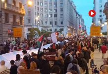 30.000 personas se manifiestan en Barcelona contra el genocidio en Palestina 30.000 personas se manifiestan en Barcelona contra el genocidio en Palestina
