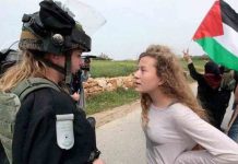 El ejercito de ocupación detiene a la activista palestina Ahed Tamimi El ejercito de ocupación detiene a la activista palestina Ahed Tamimi