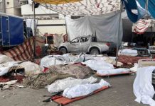 Gaza y el efecto Underdog Al menos 16.000 palestinos asesinados en Gaza, según el Ministerio de Sanidad