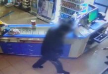 Atraca una farmacia y varios comercios en Zaragoza a punta de cuchillo Atraca una farmacia y varios comercios en Zaragoza a punta de cuchillo