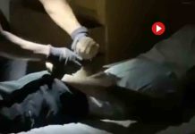 Desarticulan un grupo que asaltó un club de alterne en Benidorm Desarticulan un grupo que asaltó un club de alterne en Alicante