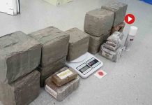 Desarticulan una organización que hacía la ruta de la coca entre Sudamérica y Europa Desarticulan una organización que hacía la ruta de la coca entre Sudamérica y Europa