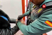 Detenida por abandonar a su hijo menor de edad en su casa en La Rioja Detenida por abandonar a su hijo menor de edad en su casa en La Rioja