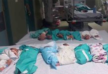 El Hospital Al Shifa de Gaza sin electricidad y asediado por el ejército israelí El Hospital Al Shifa de Gaza sin electricidad y asediado por el ejército israelí